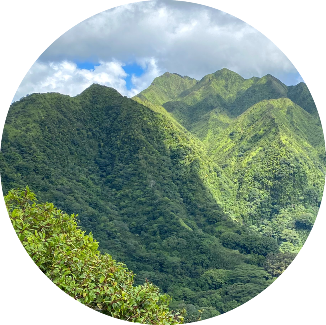 Mountains of Hawaii