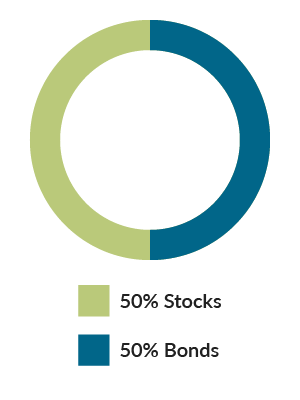 ABLE Moderate: 50% Stocks, 50% Bonds