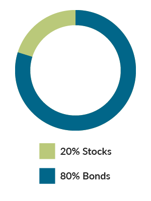 ABLE Conservative: 20% Stocks, 80% Bonds